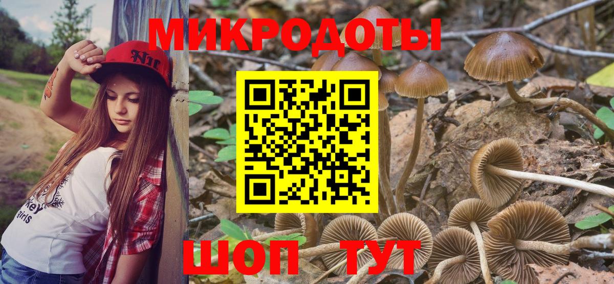 Галлюциногенные грибы Cubensis Вышний Волочёк
